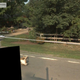 Illustration for article titled Google Maps Car Hits a Deer, Records Entire Ordeal on Google Maps